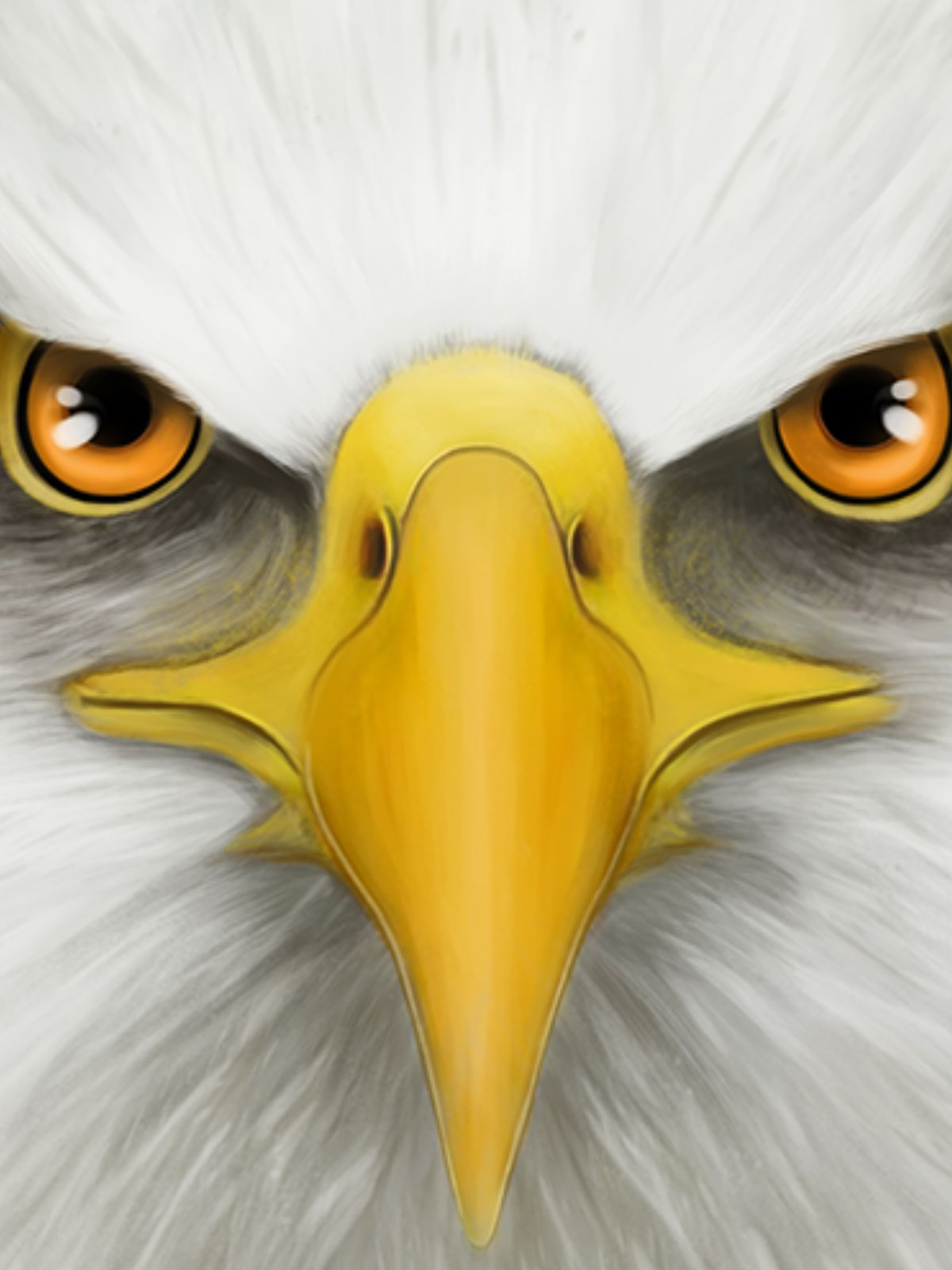 Take Flight, Earn Your Rewards.