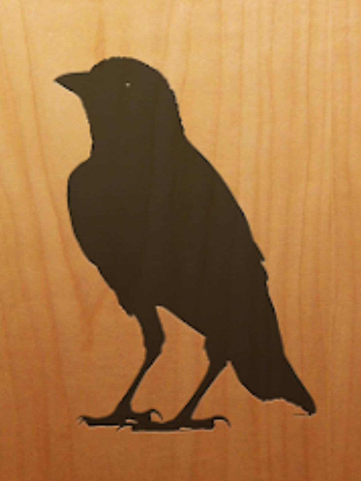 Get Blackbird for Free