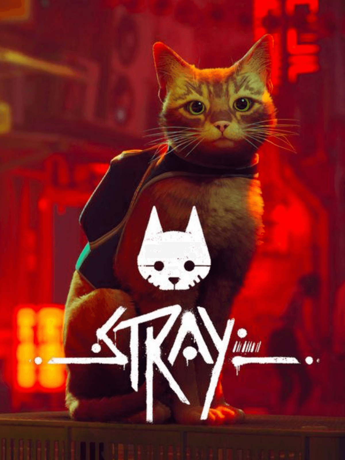The Purr-fect Way to Get Stray for Free