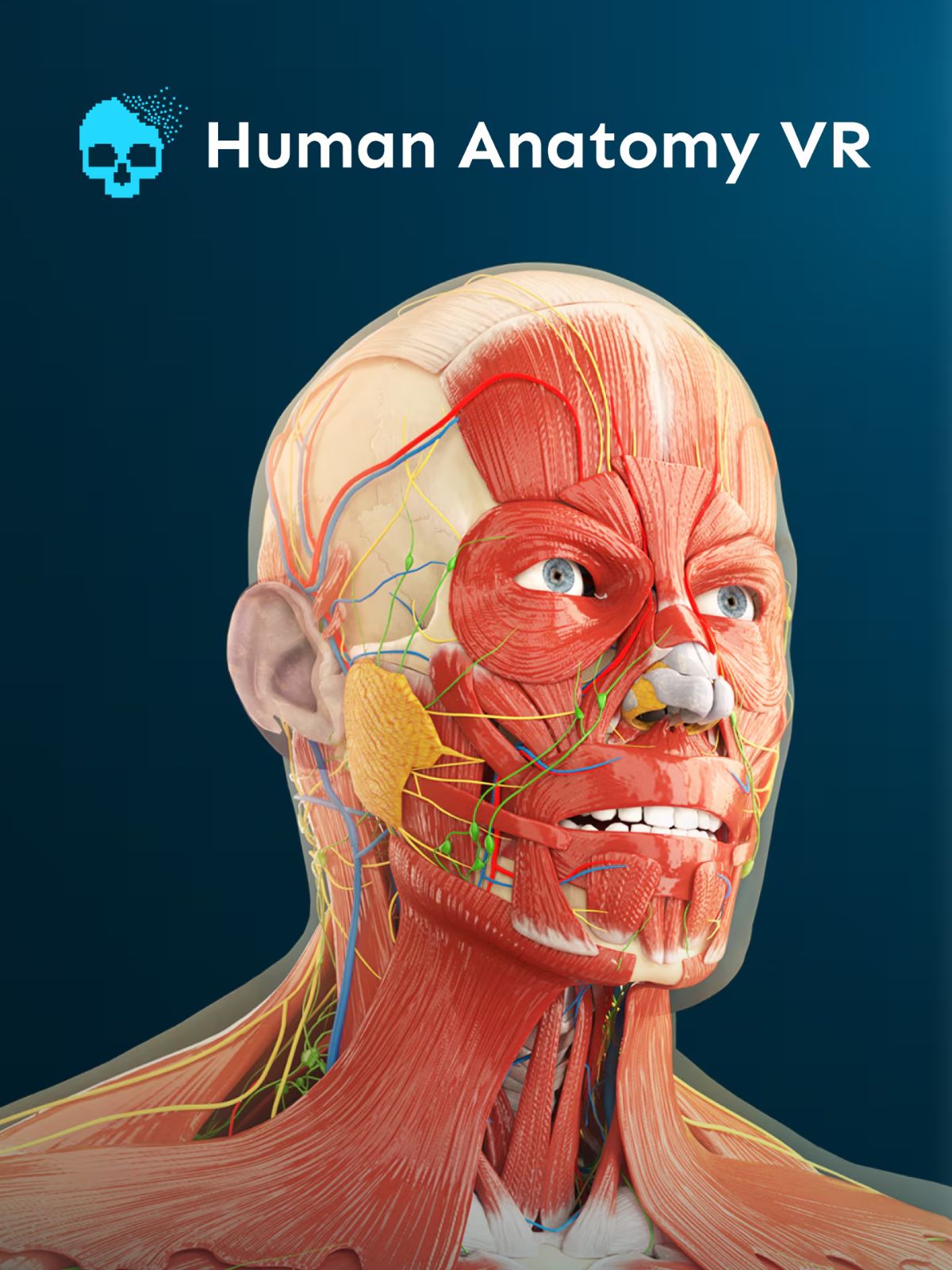 Human Anatomy VR on PSN free — Snakzy shows you how