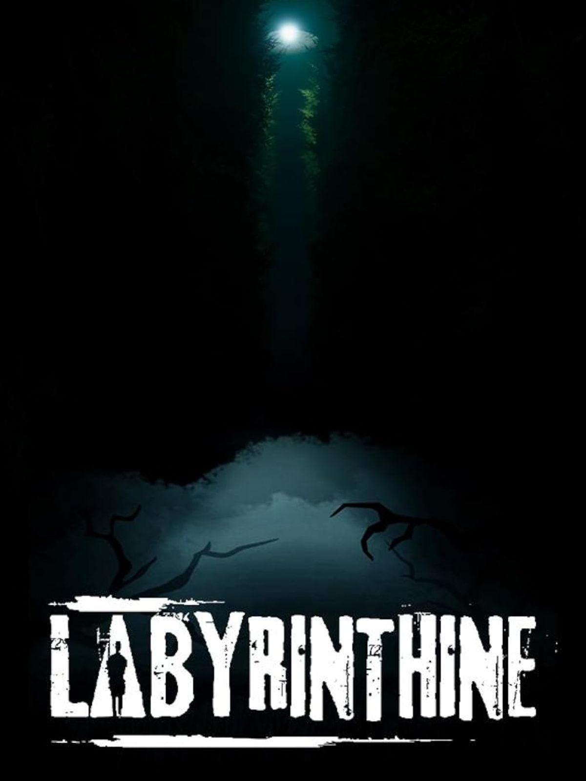 Free Labyrinthine? Survive the maze with your friends for free