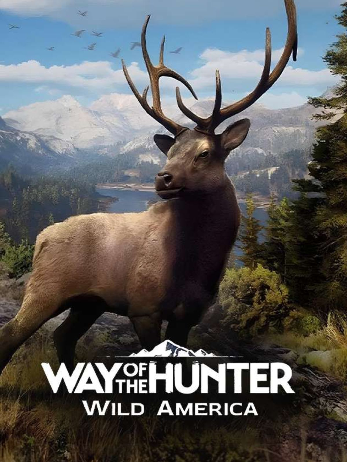 Hunt the Wild, Not the Web